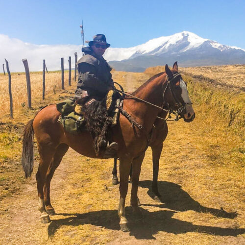 servhorse